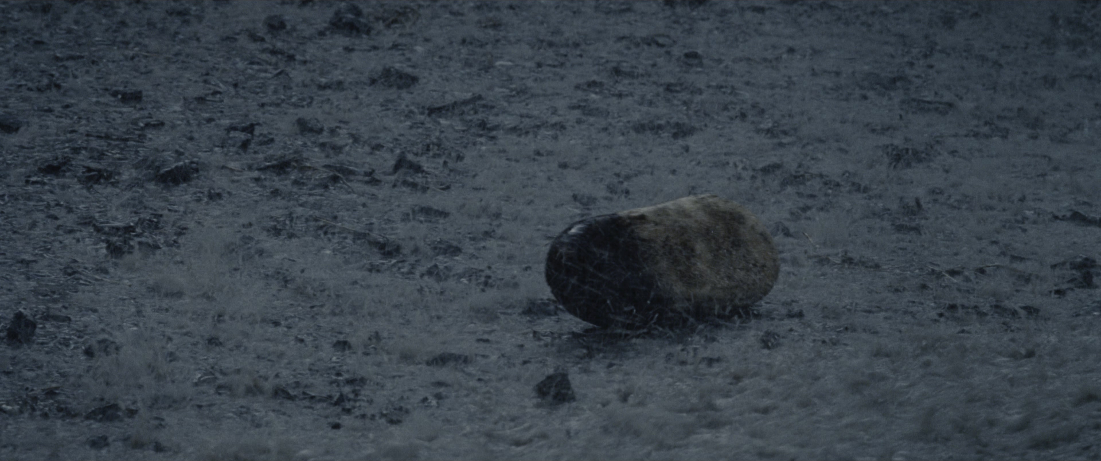 The Hunger Games (2012), wide, 2.39:1 — film still