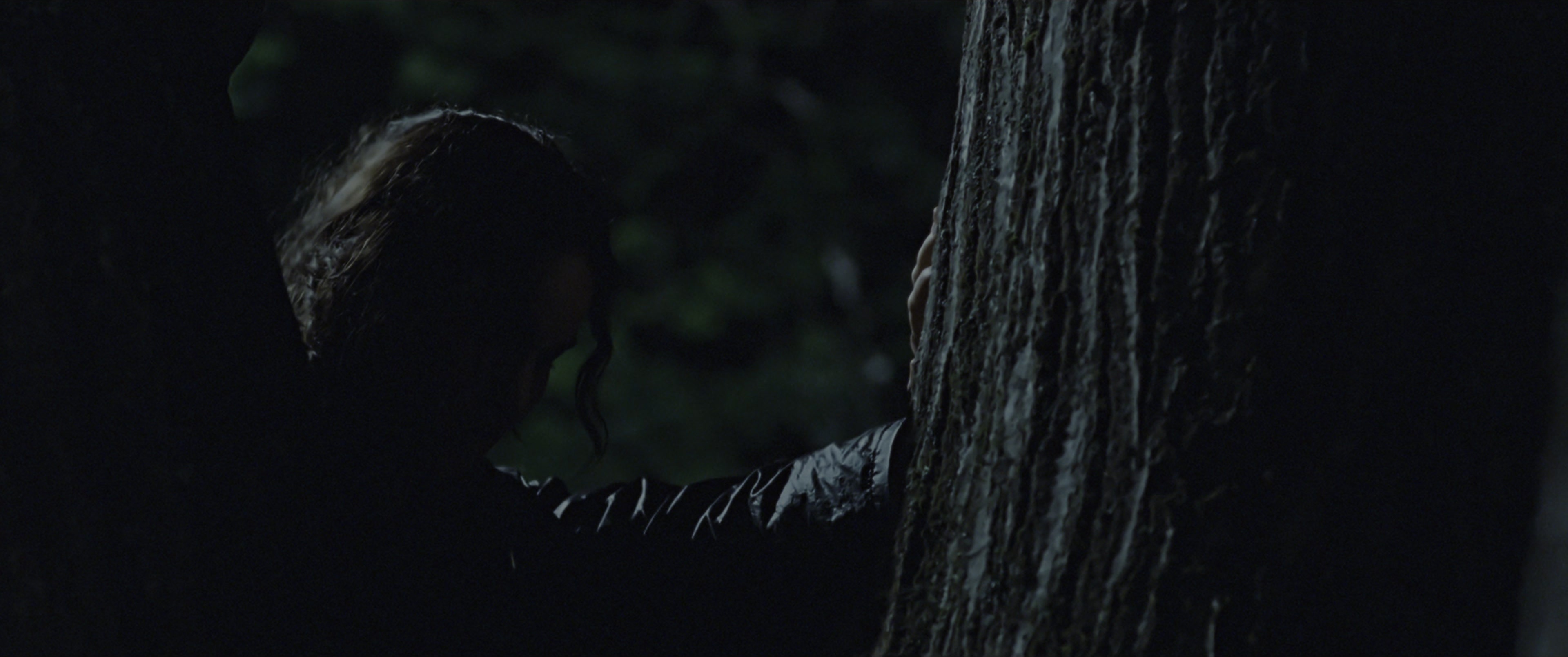 The Hunger Games (2012), wide, 2.39:1 — film still