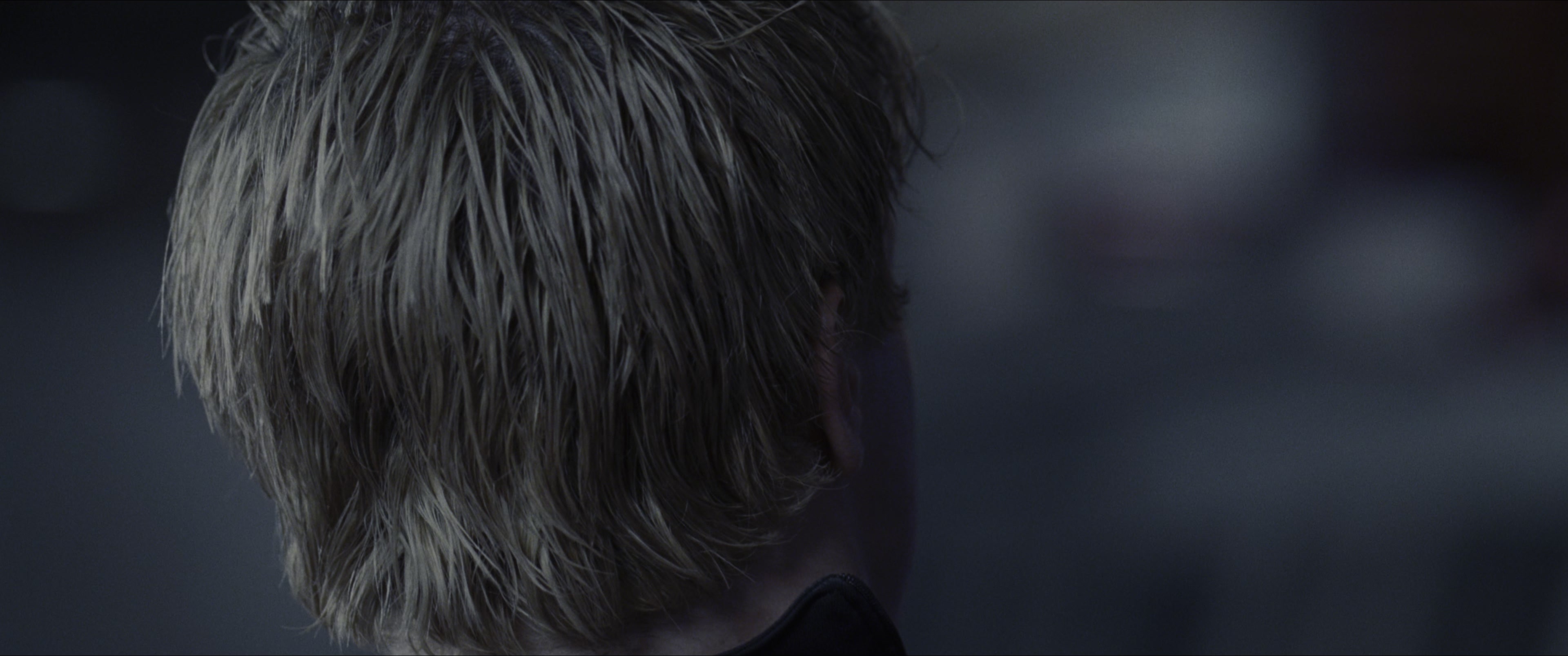 The Hunger Games (2012), wide, 2.39:1 — film still