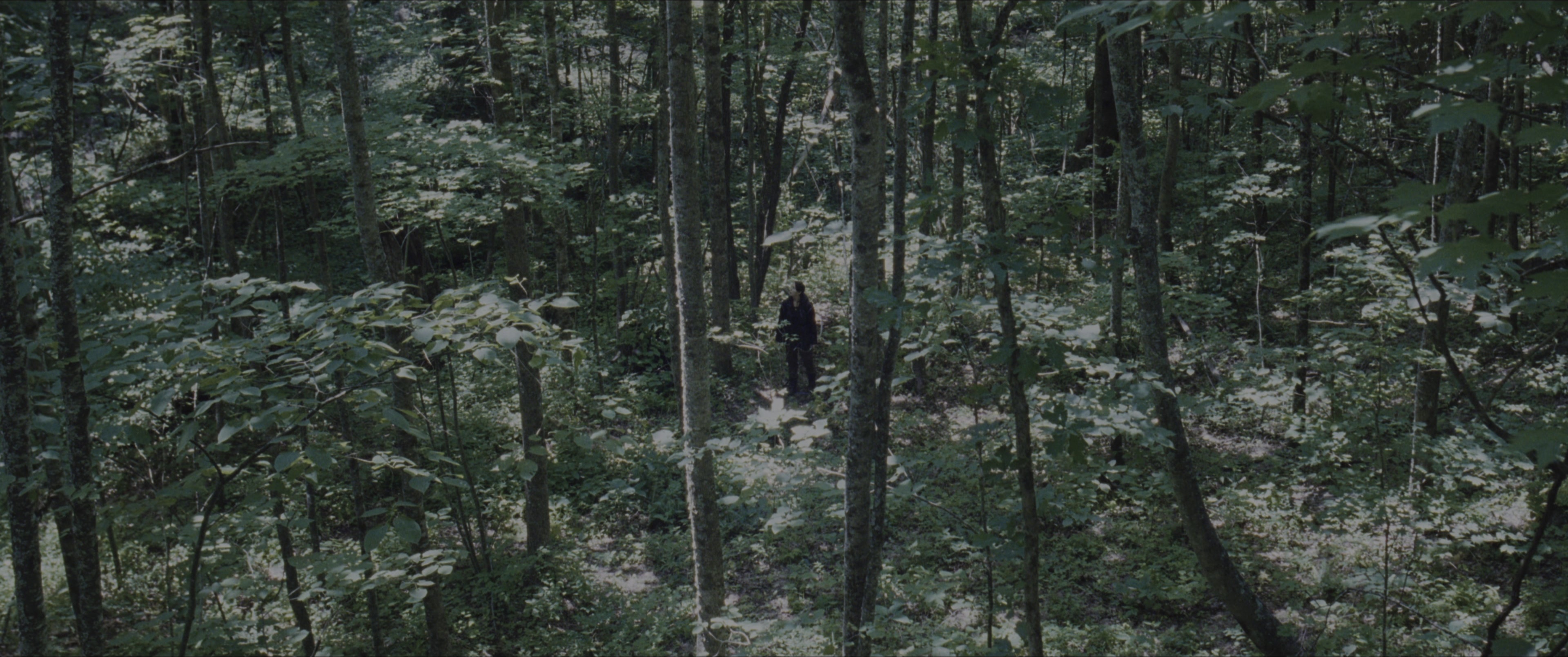 The Hunger Games (2012), wide, 2.39:1 — film still