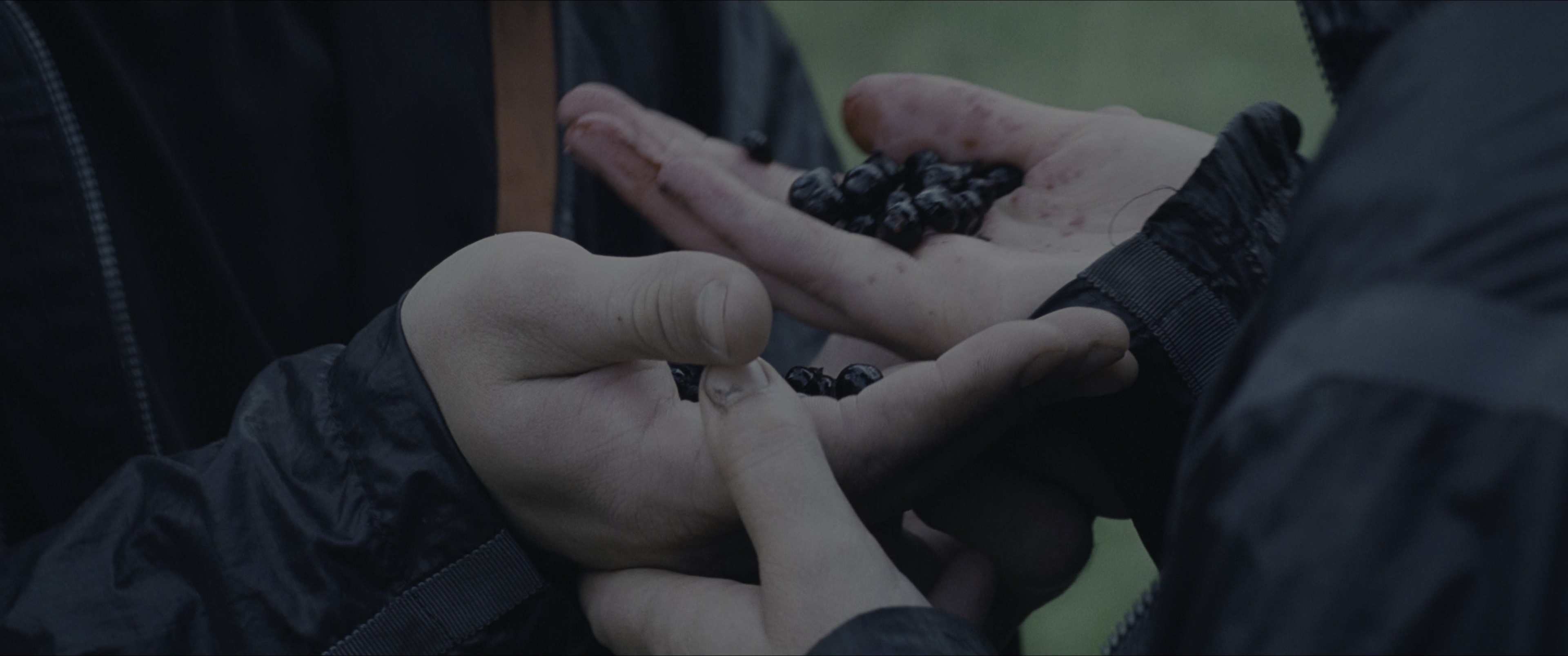 The Hunger Games (2012), wide, 2.39:1 — film still
