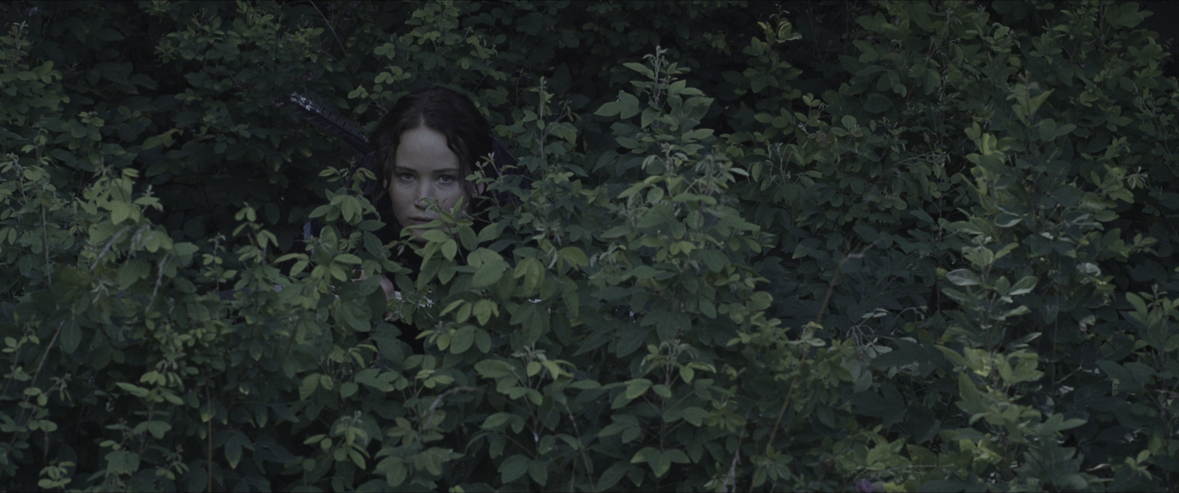 The Hunger Games (2012), wide, 2.39:1 — film still