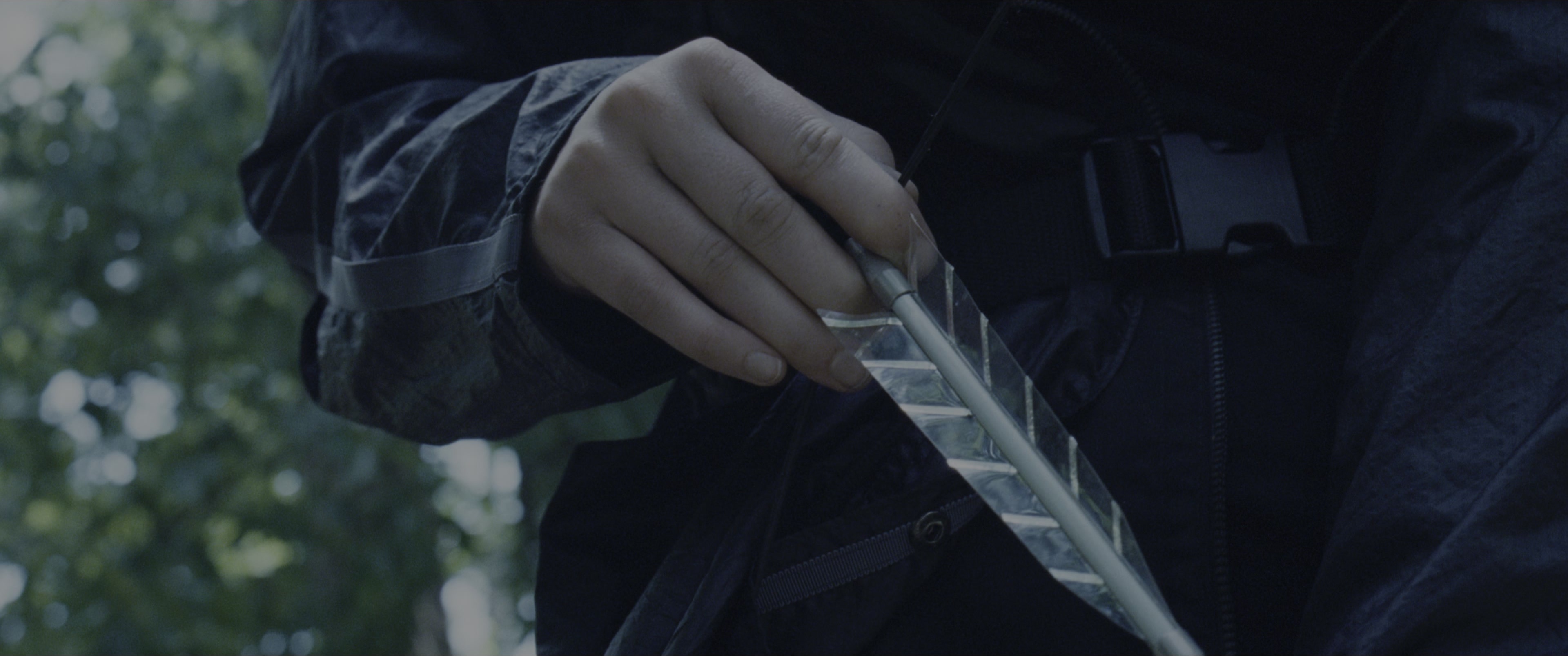 The Hunger Games (2012), wide, 2.39:1 — film still