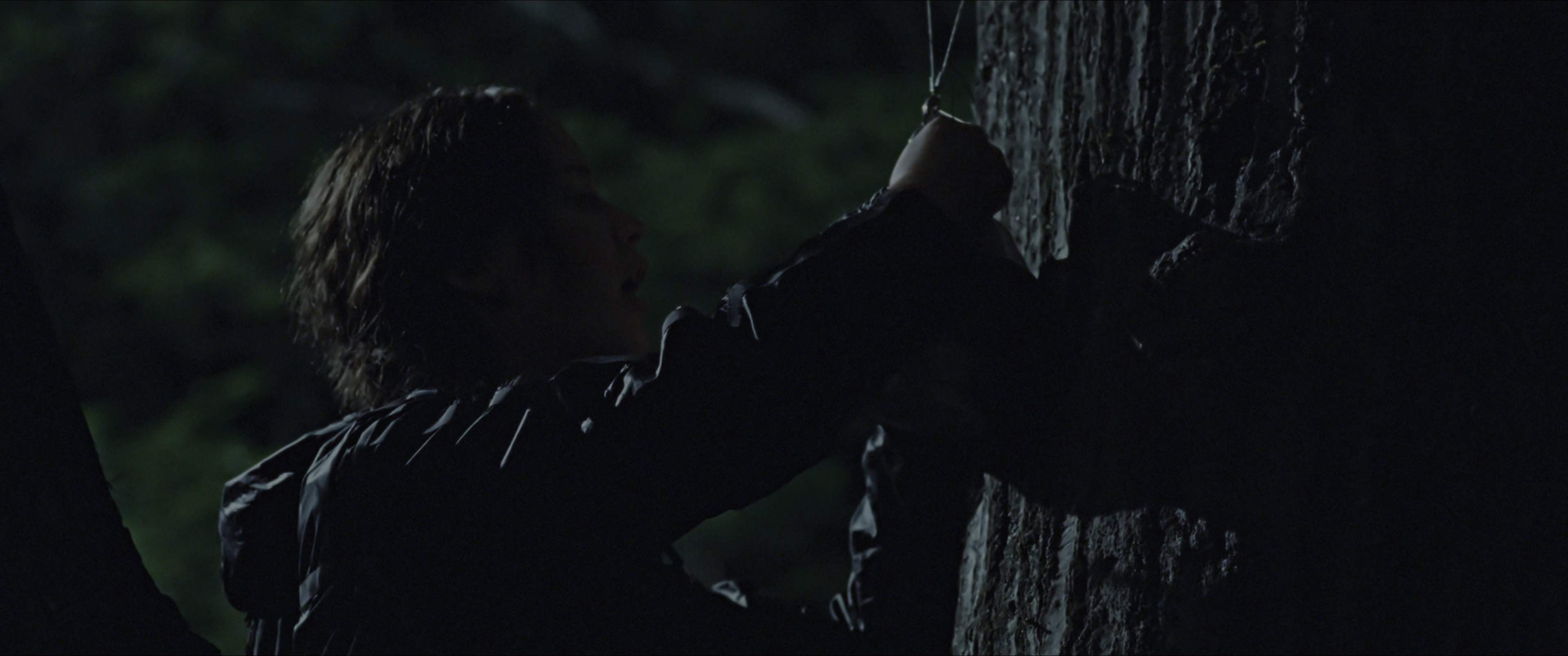 The Hunger Games (2012), wide, 2.39:1 — film still