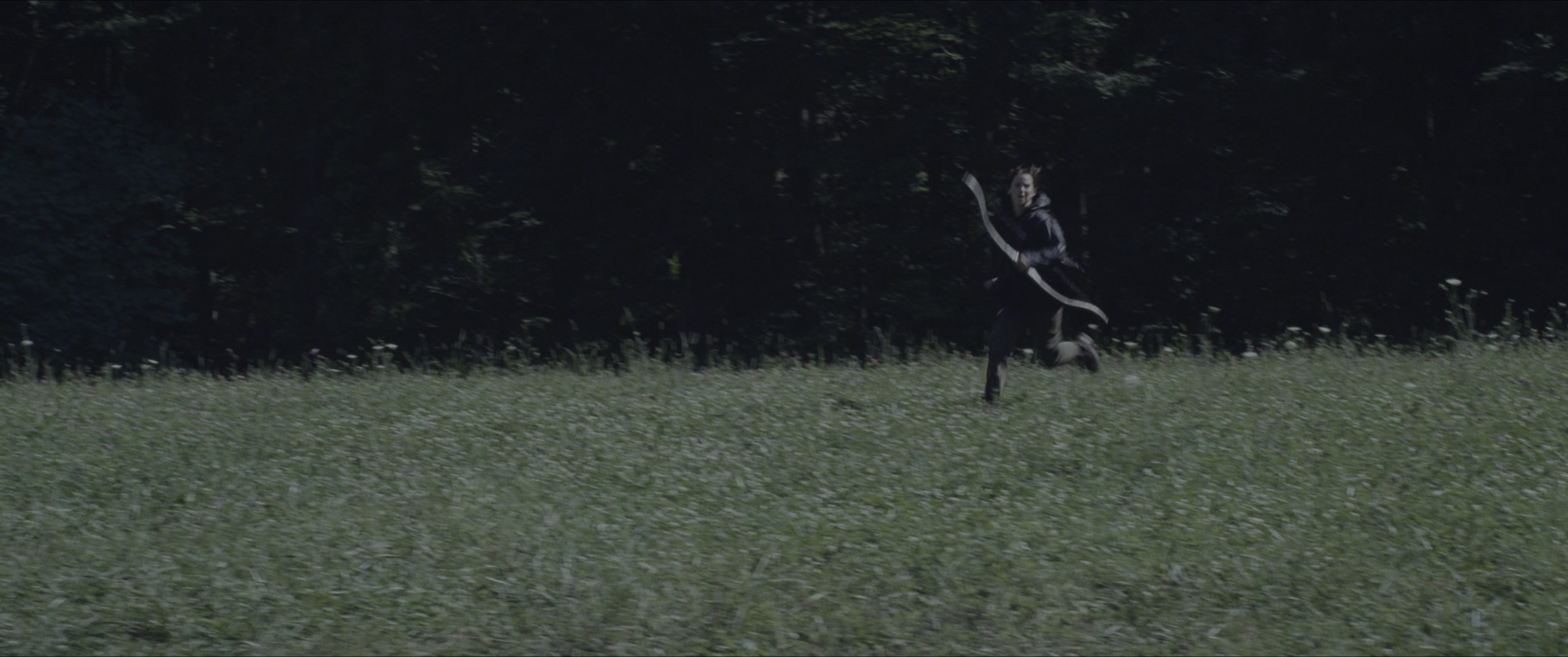 The Hunger Games (2012), wide, 2.39:1 — film still