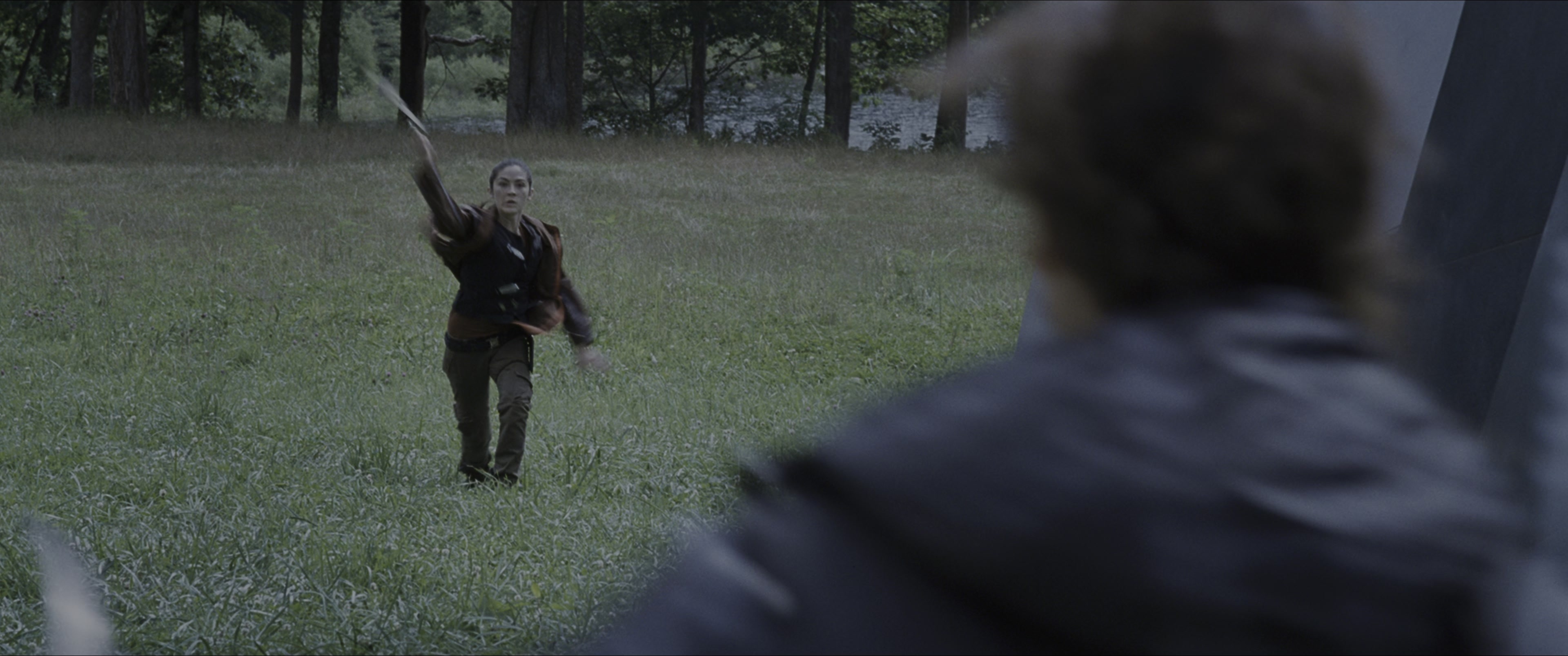 The Hunger Games (2012), wide, 2.39:1 — film still