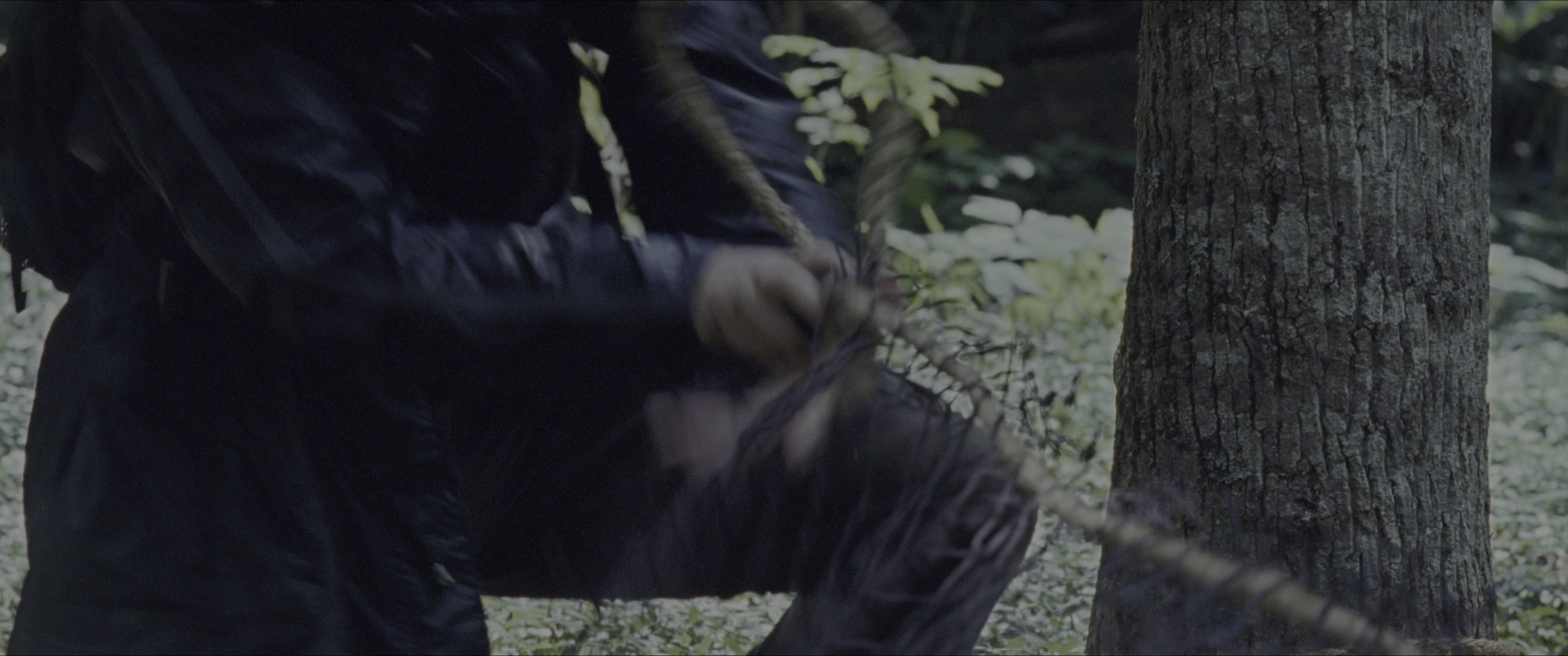 The Hunger Games (2012), wide, 2.39:1 — film still