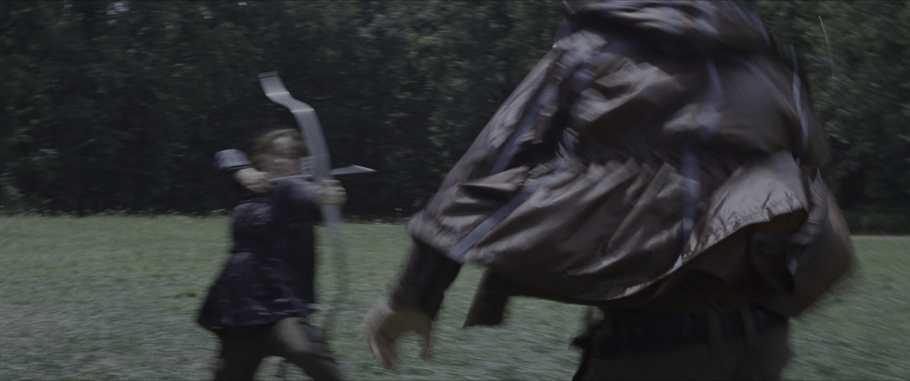 The Hunger Games (2012), wide, 2.39:1 — film still