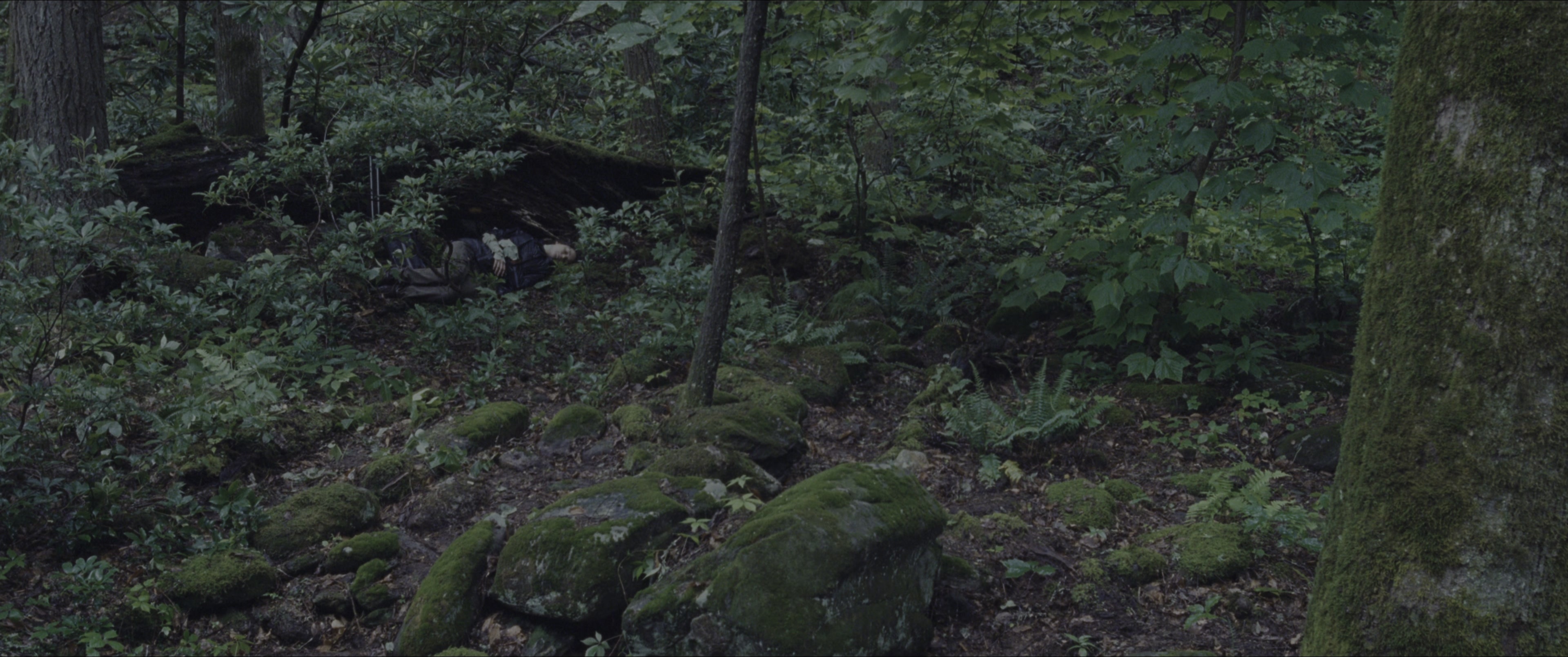 The Hunger Games (2012), wide, 2.39:1 — film still