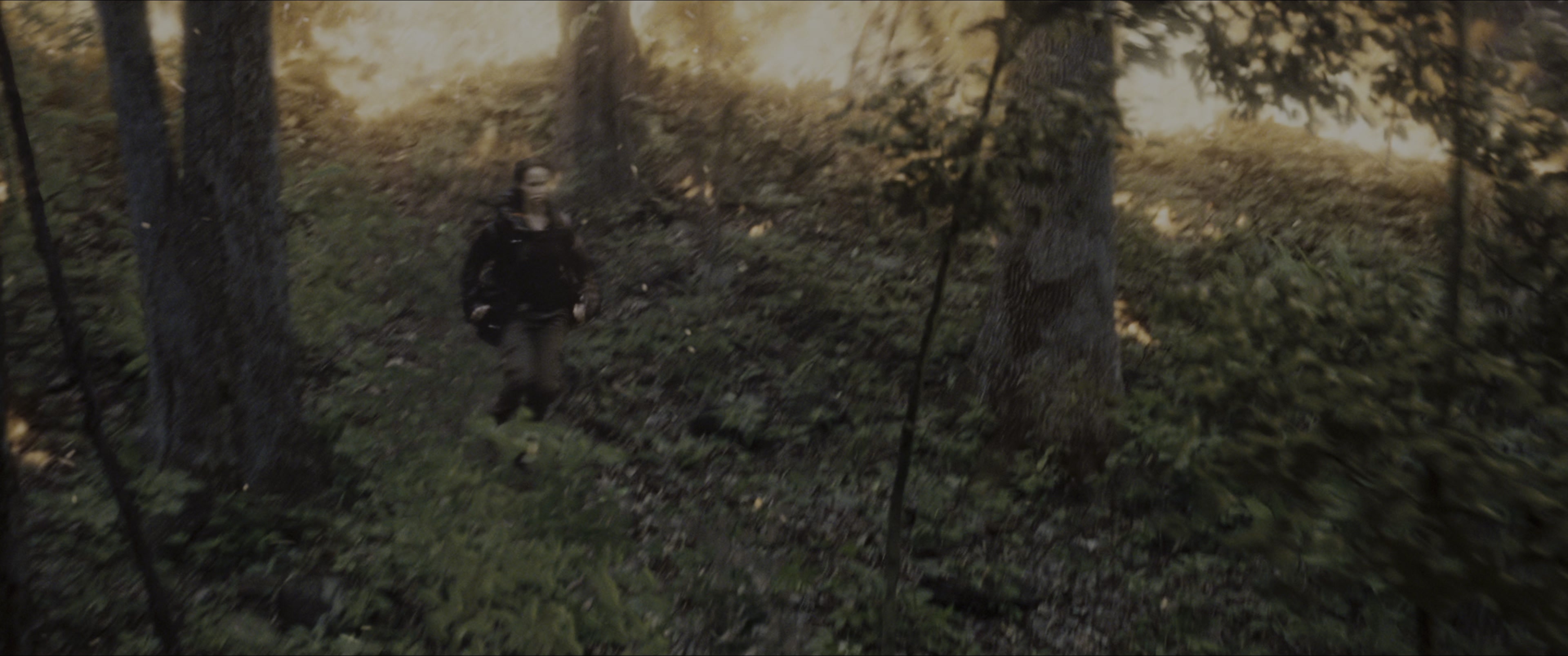 The Hunger Games (2012), wide, 2.39:1 — film still
