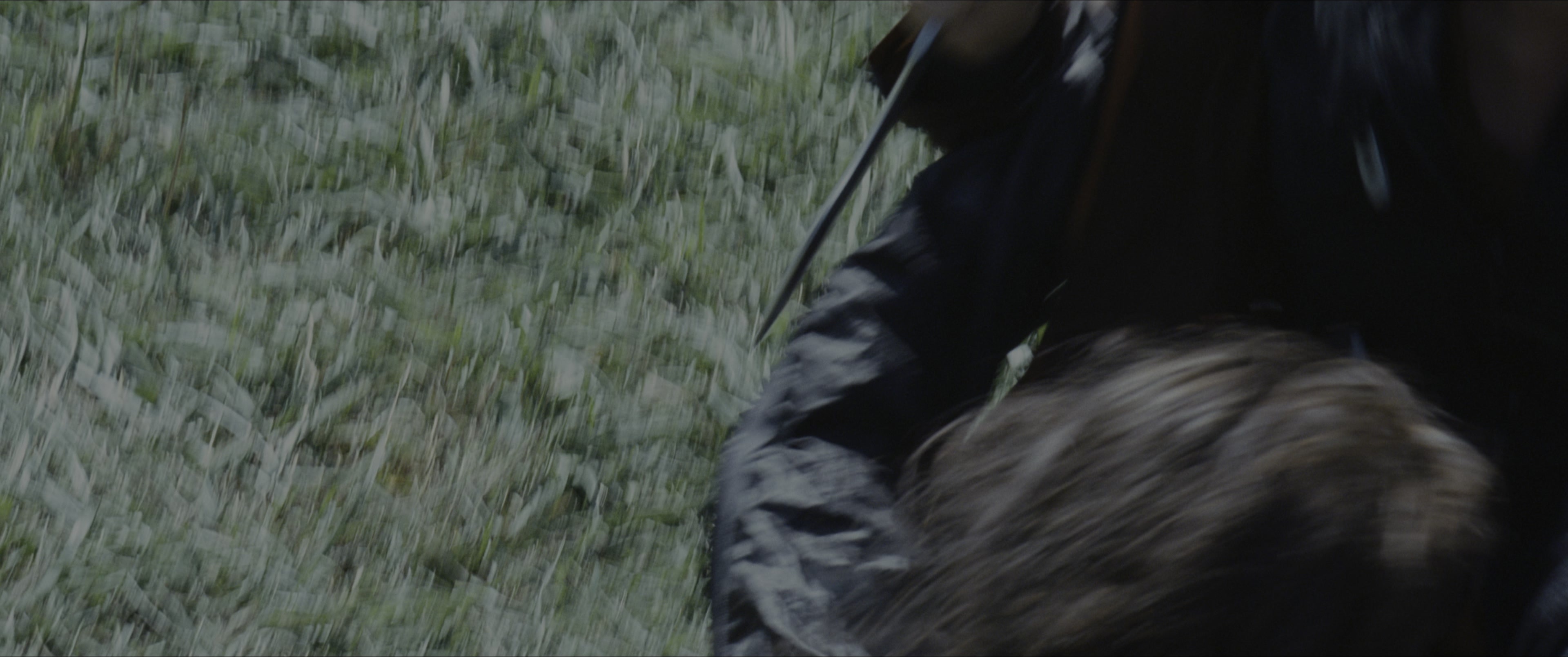 The Hunger Games (2012), wide, 2.39:1 — film still