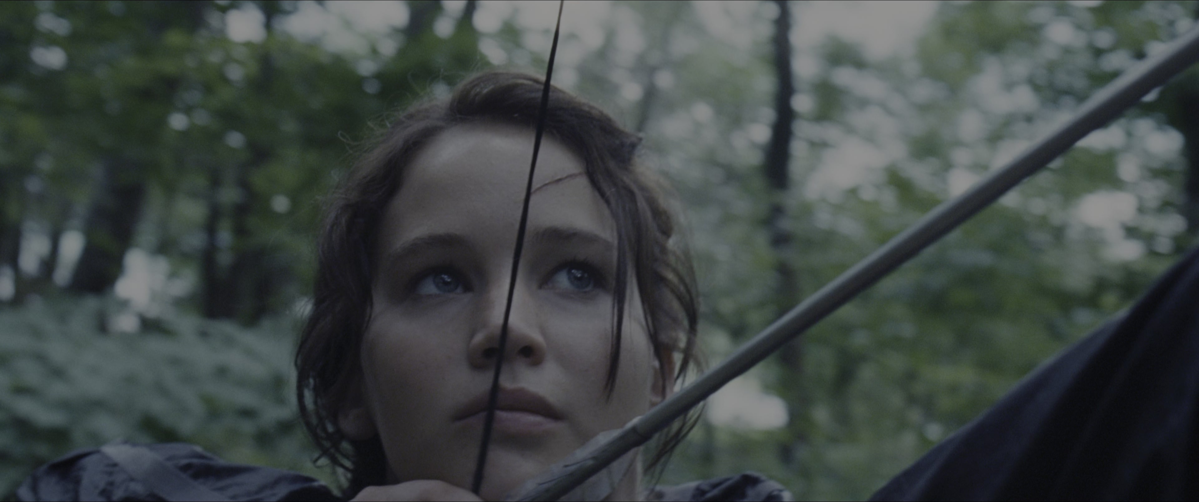 The Hunger Games (2012), close, 2.39:1 — film still