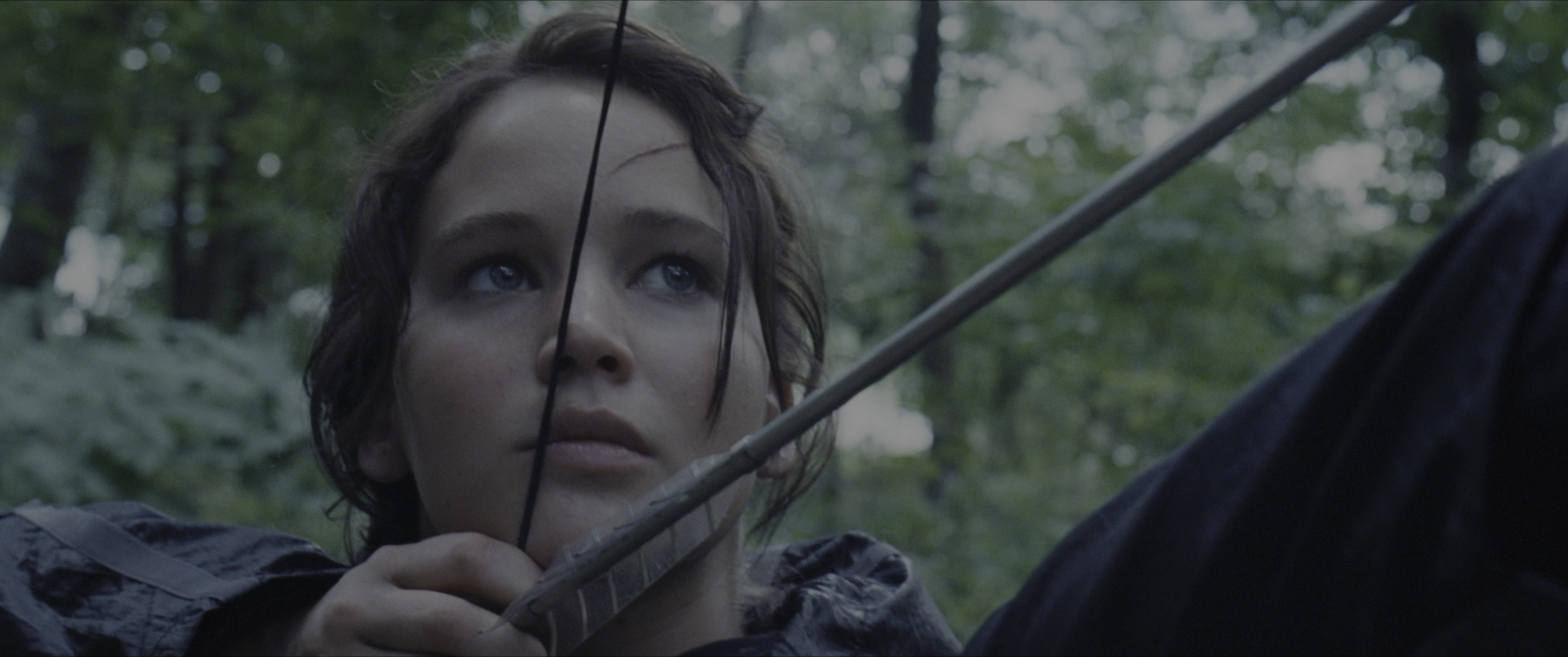 The Hunger Games (2012), close, 2.39:1 — film still