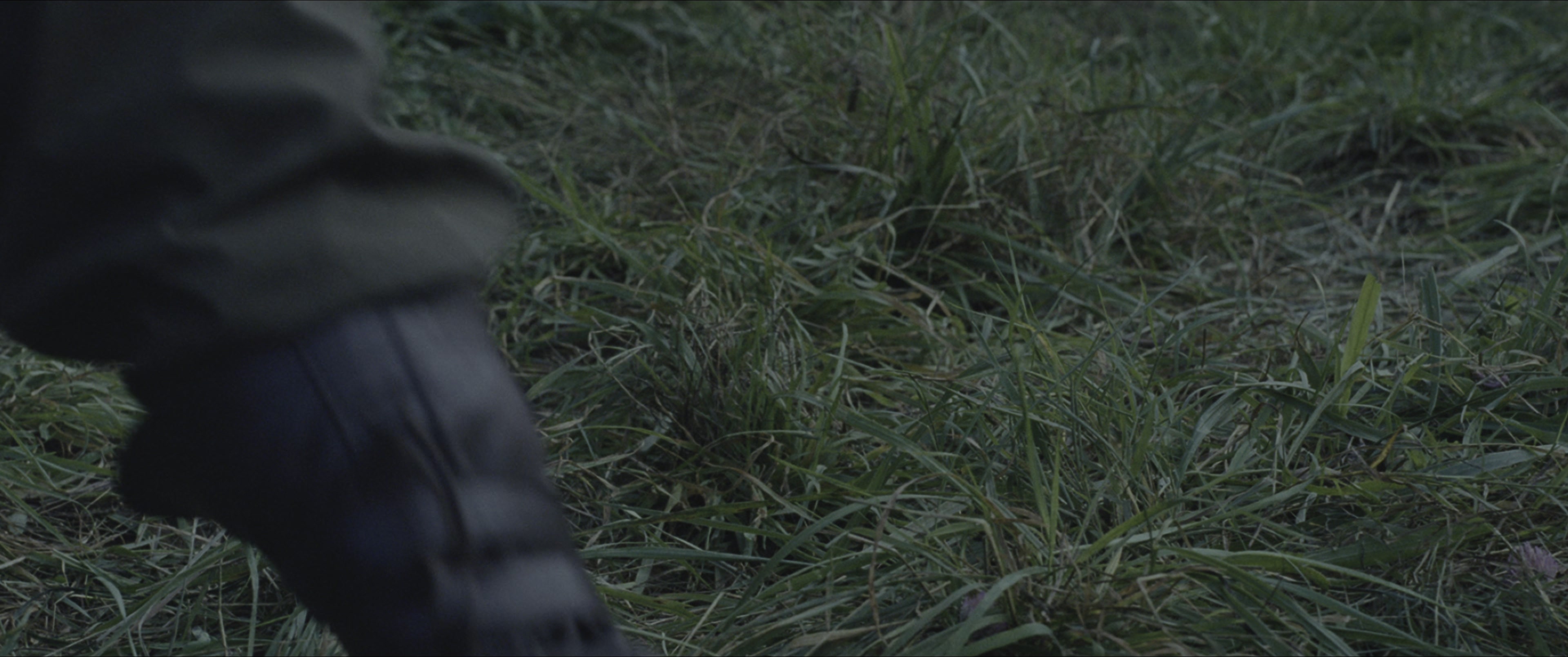 The Hunger Games (2012), wide, 2.39:1 — film still