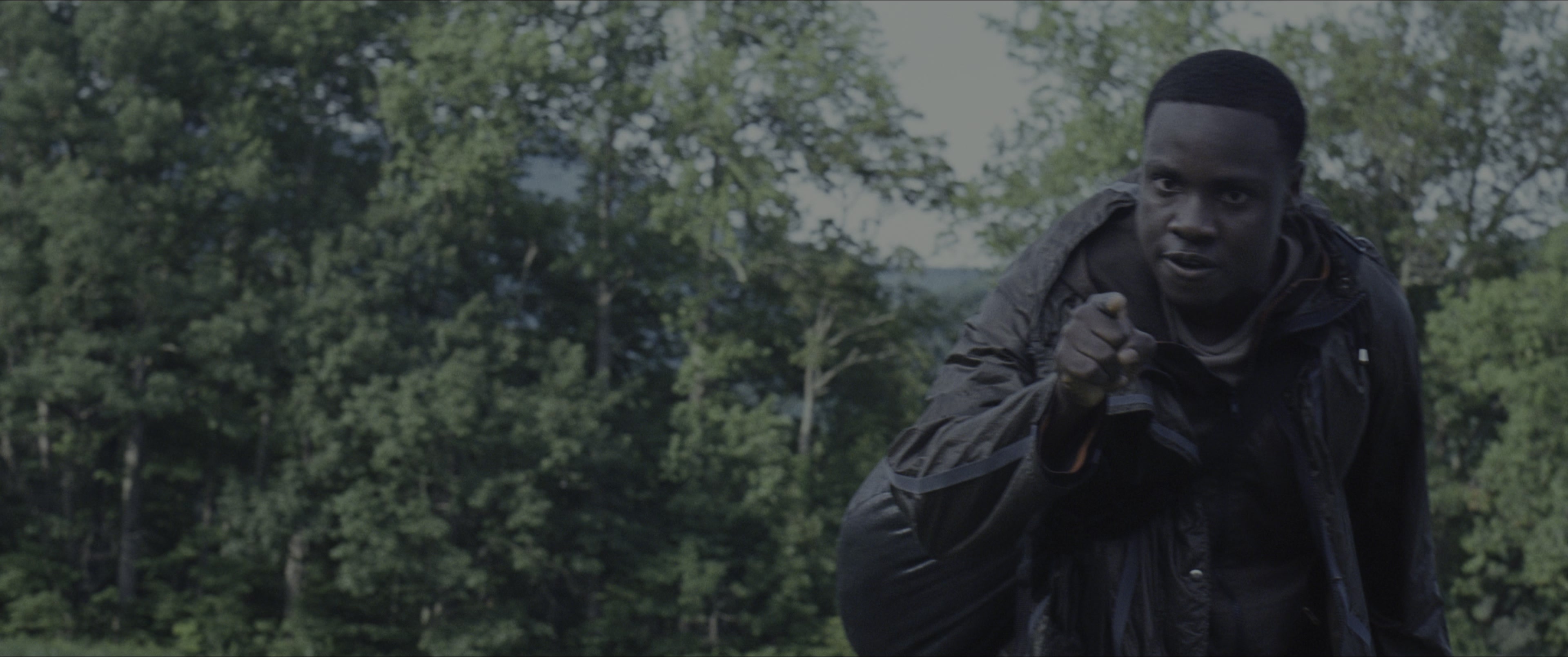 The Hunger Games (2012), wide, 2.39:1 — film still
