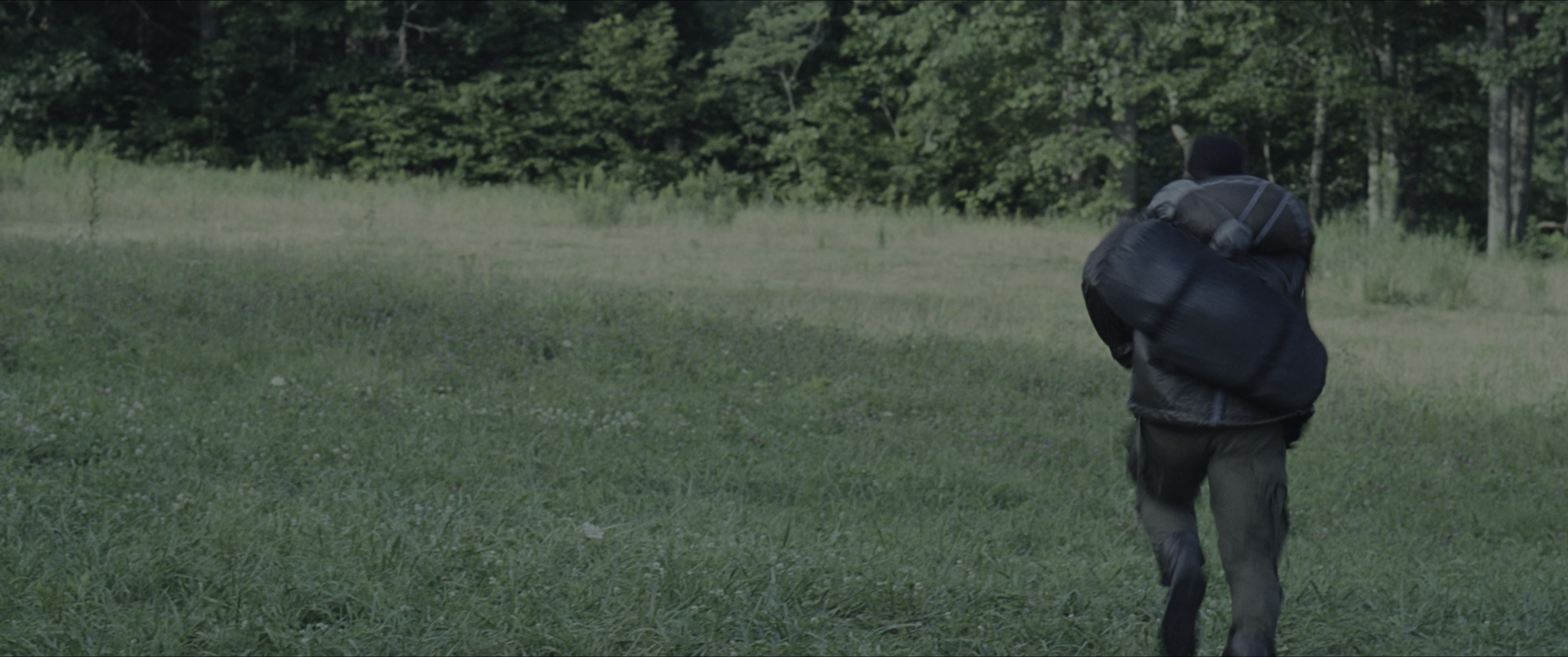 The Hunger Games (2012), wide, 2.39:1 — film still
