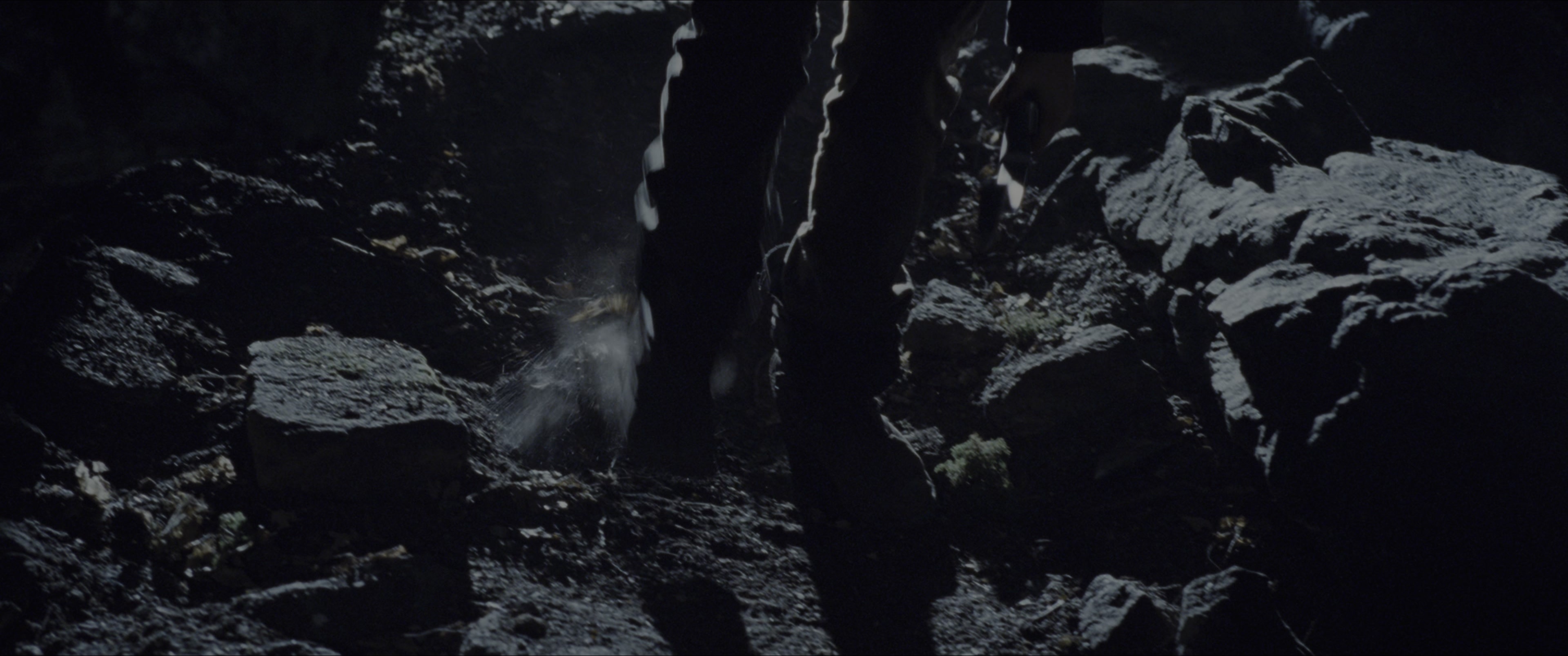 The Hunger Games (2012), wide, 2.39:1 — film still