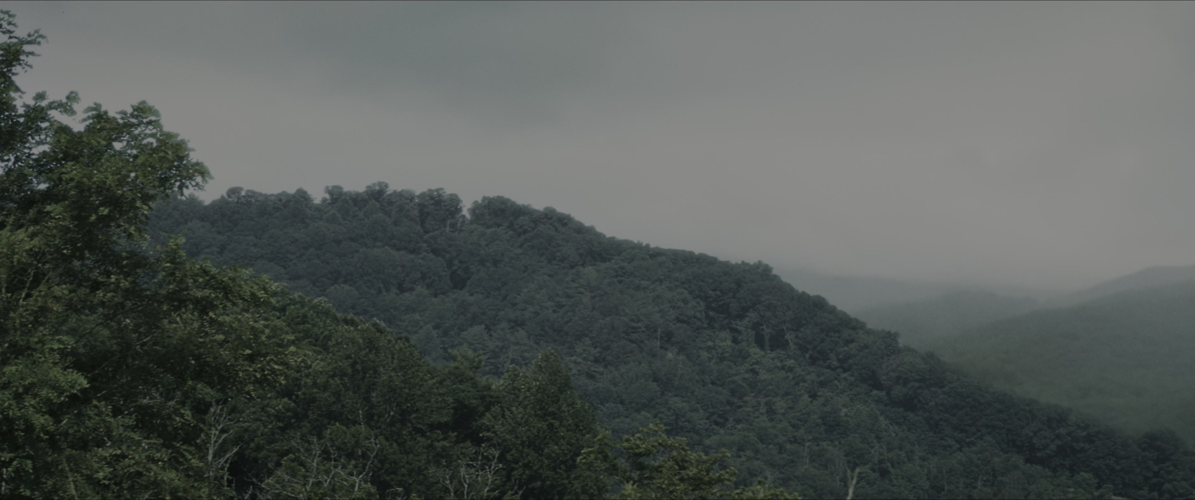 The Hunger Games (2012), wide, 2.39:1 — film still