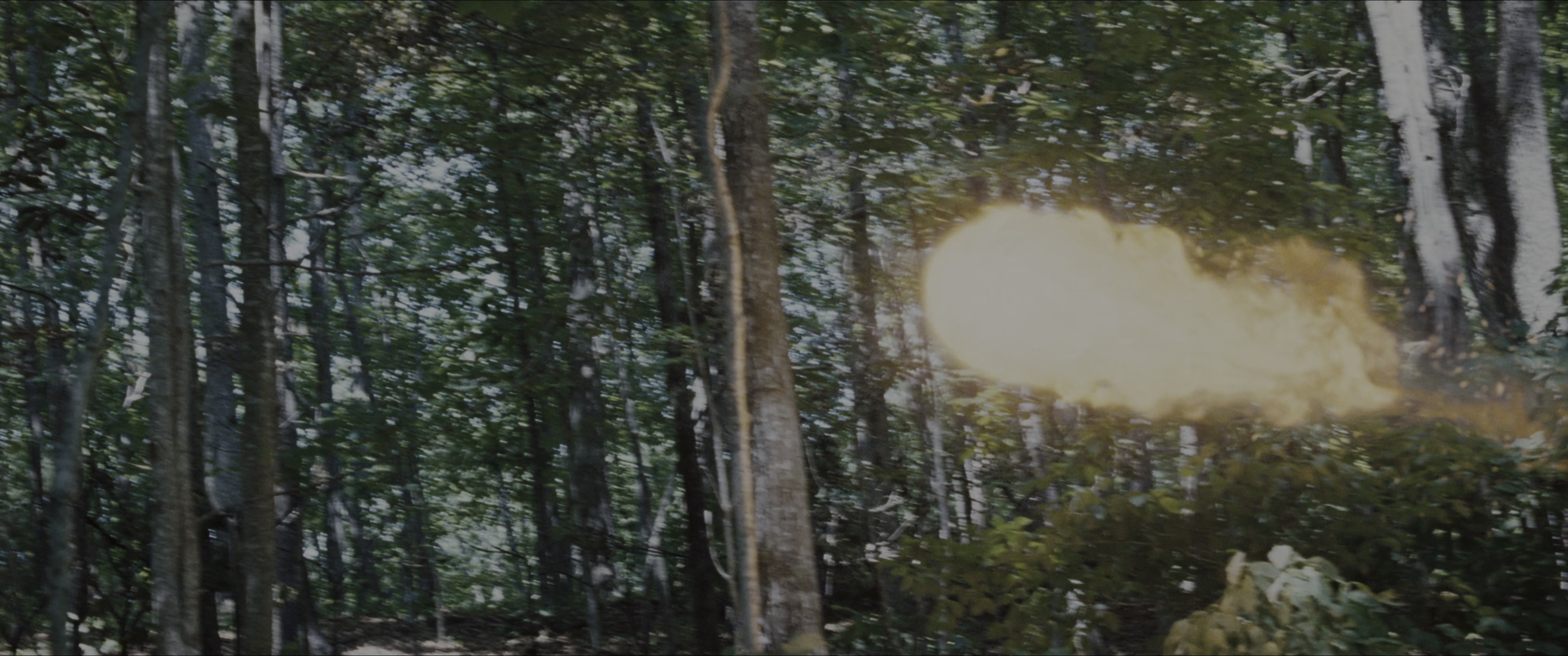 The Hunger Games (2012), wide, 2.39:1 — film still