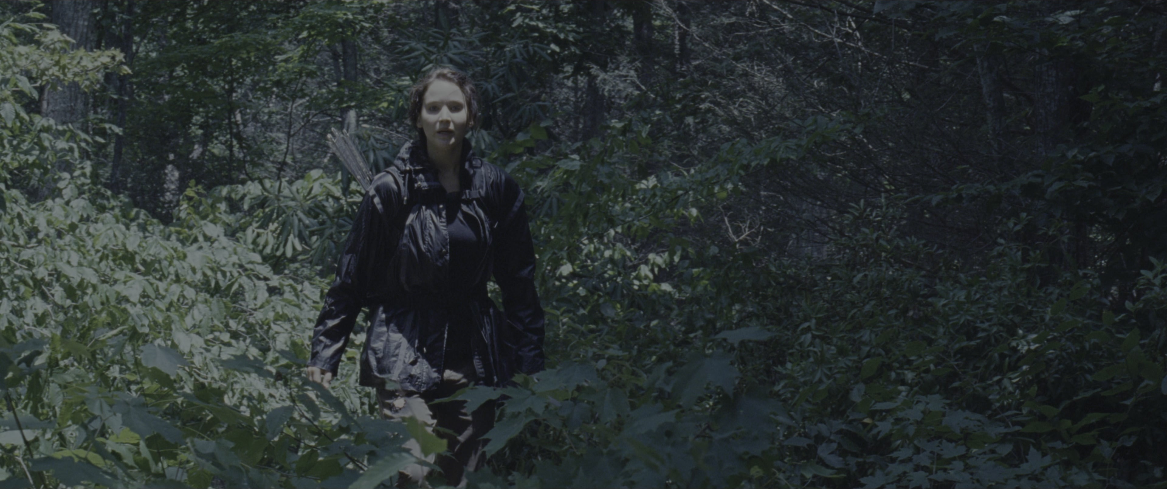 The Hunger Games (2012), wide, 2.39:1 — film still