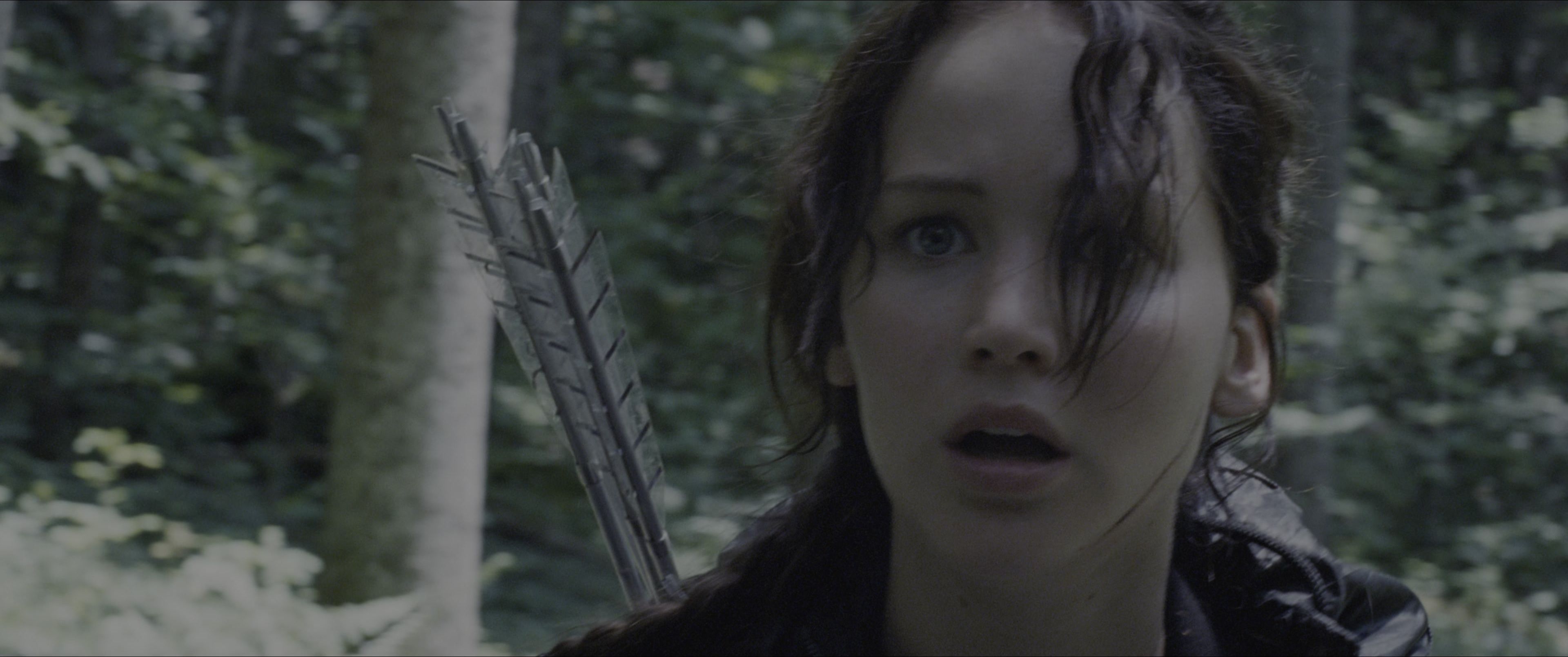 The Hunger Games (2012), close, 2.39:1 — film still