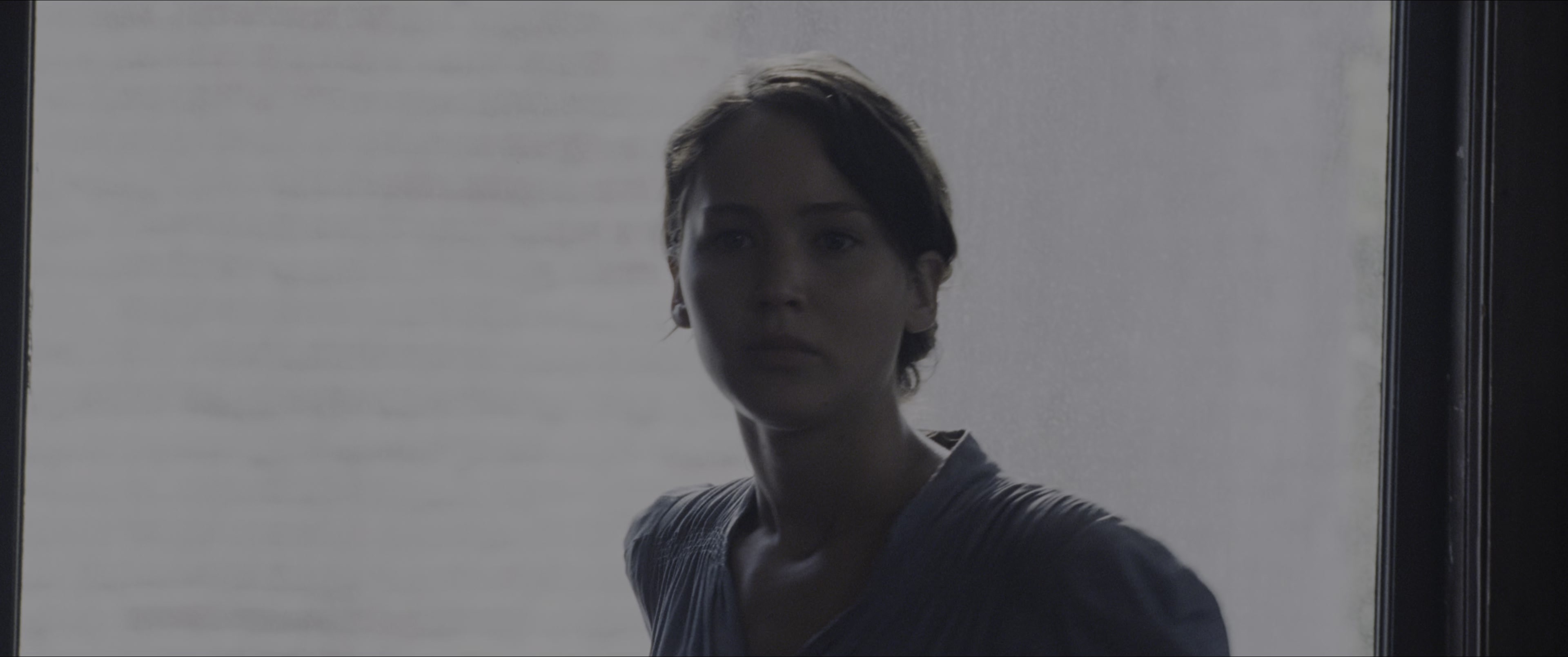 The Hunger Games (2012), wide, 2.39:1 — film still
