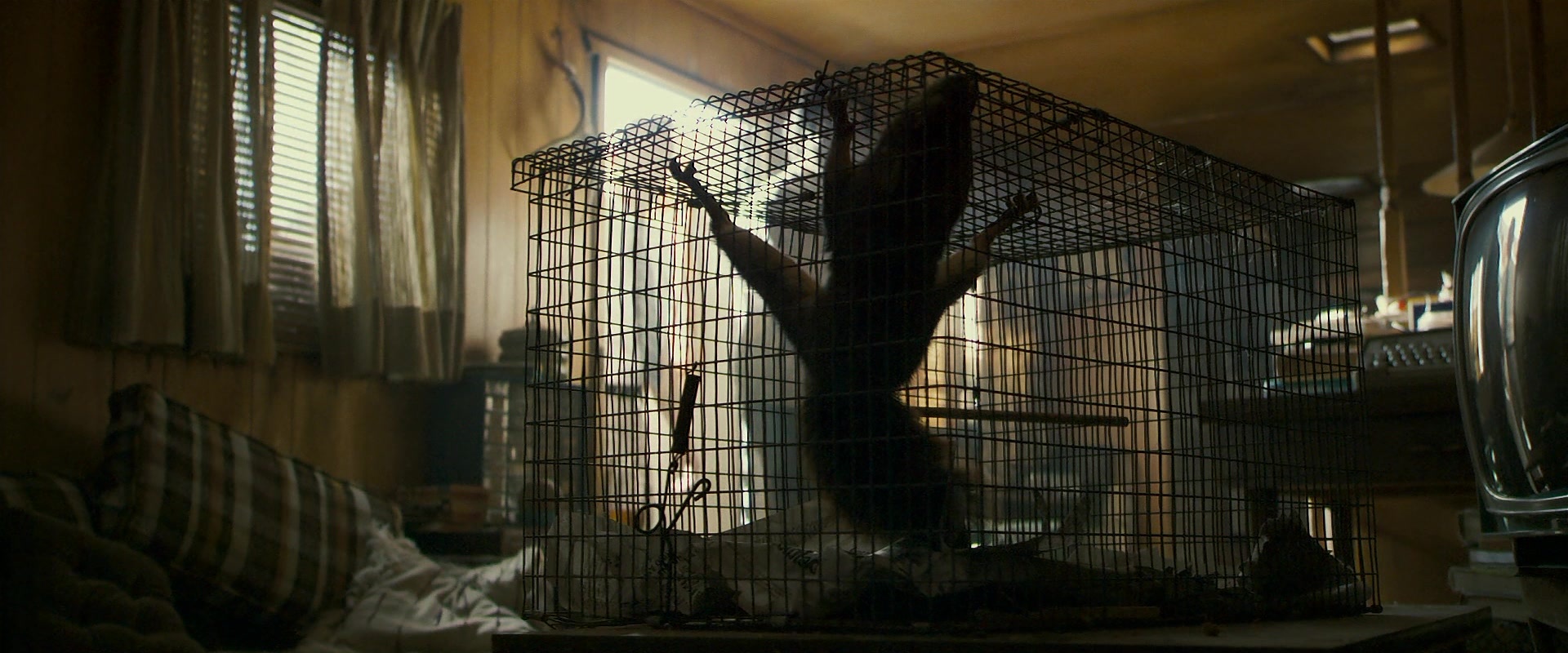 Zodiac (2007), wide, 2.40:1 — film still