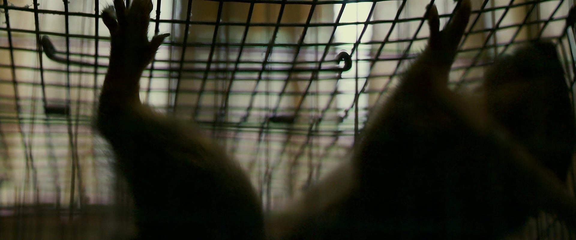 Zodiac (2007), wide, 2.40:1 — film still