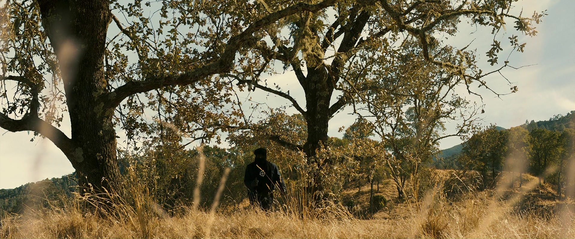 Zodiac (2007), wide, 2.40:1 — film still