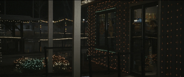 Wide shot frame from Zombieland — glass, window, building