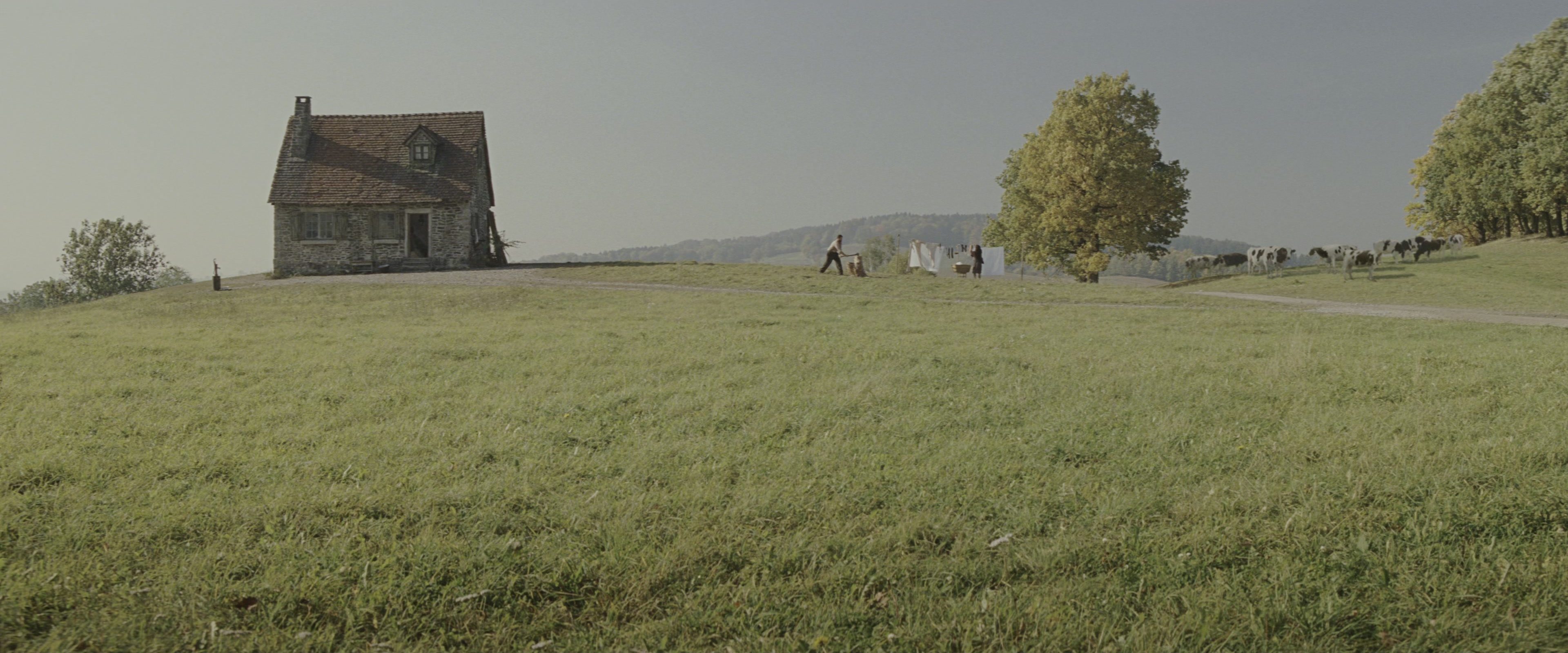 Inglourious Basterds (2009), wide, 2.40:1 — film still