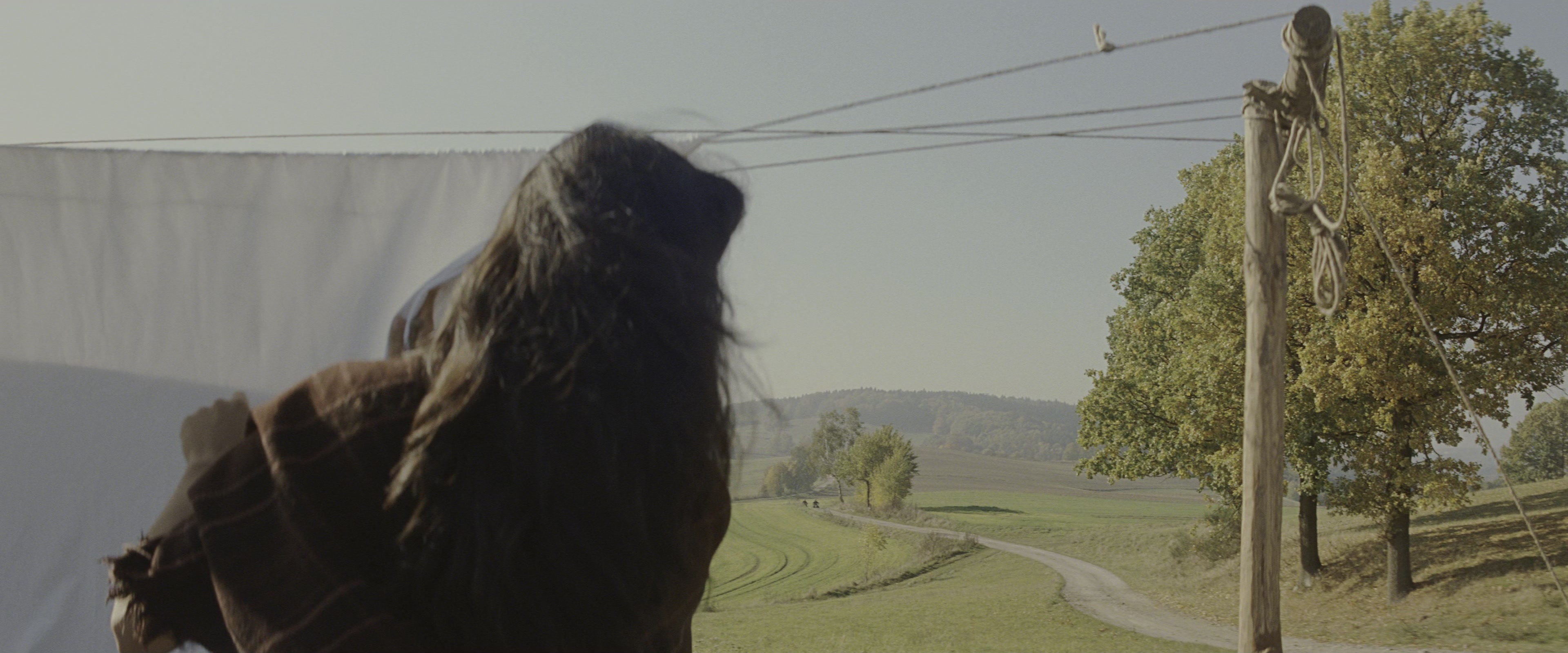 Inglourious Basterds (2009), wide, 2.40:1 — film still