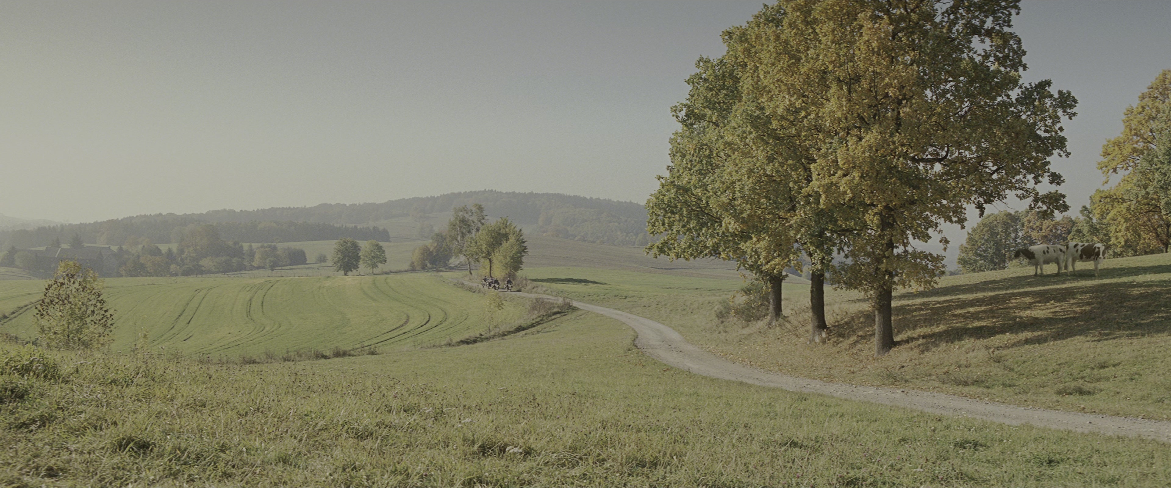Inglourious Basterds (2009), wide, 2.40:1 — film still