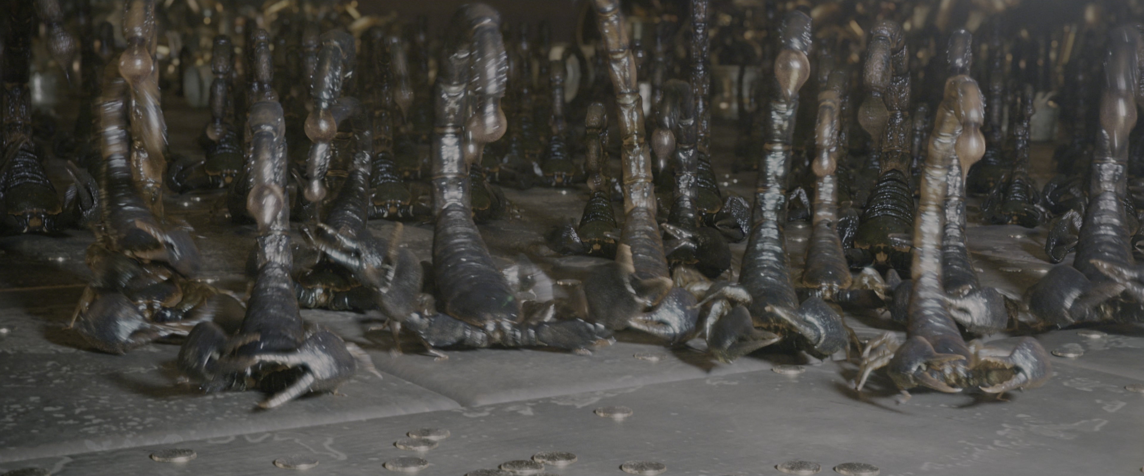 Gods of Egypt (2016), wide, 2.40:1 — film still
