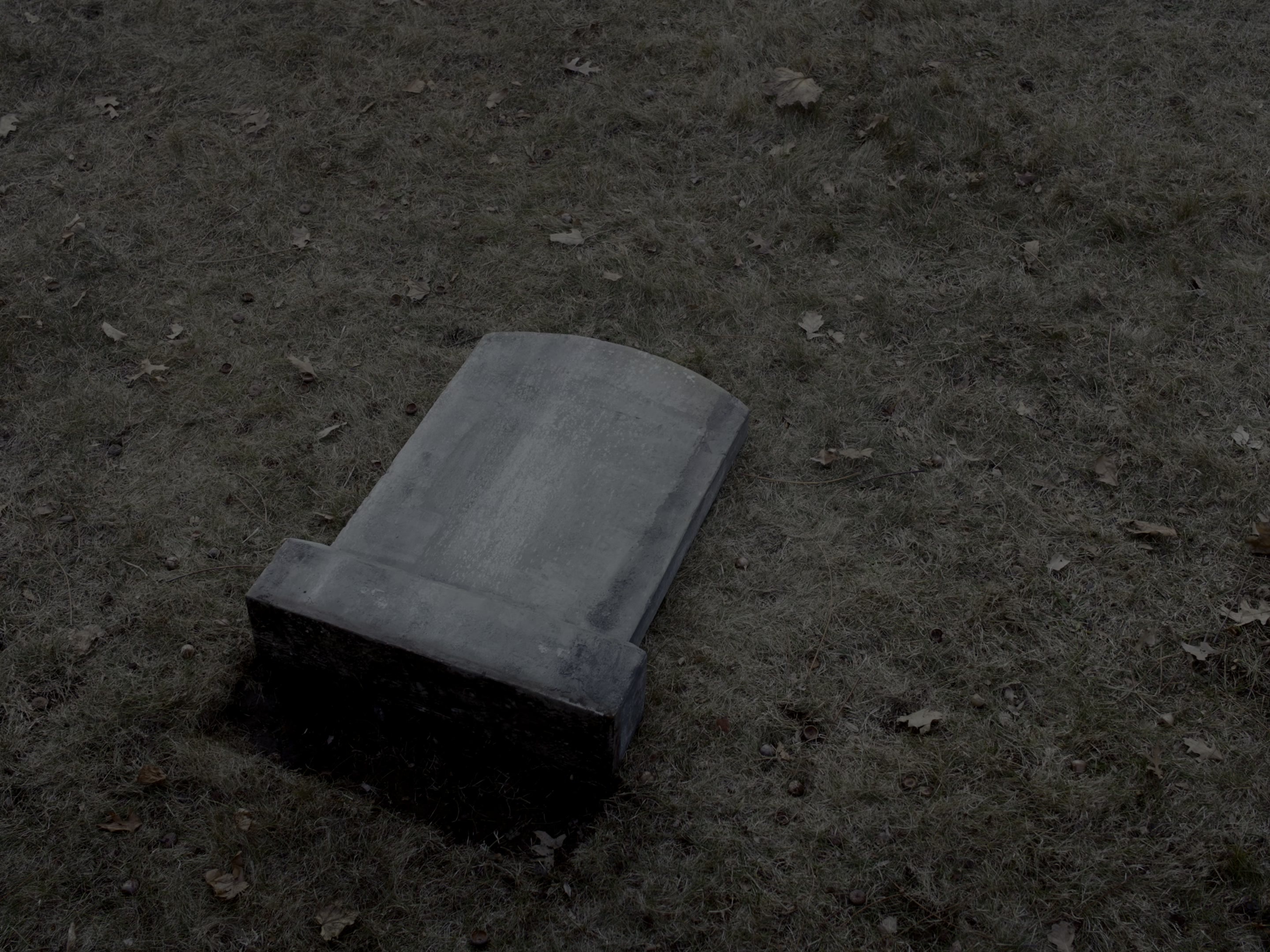 First Reformed (2017), wide, 1.33:1 — film still