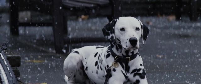 Frame from 101 Dalmatians — sitting, street, dog