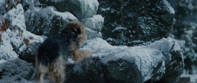 Wide shot frame from 101 Dalmatians — standing, animal, dog
