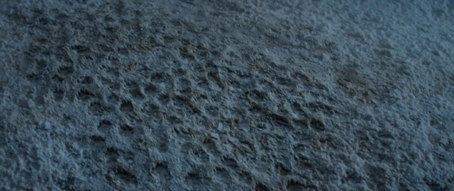 Wide shot frame from 101 Dalmatians — trousers