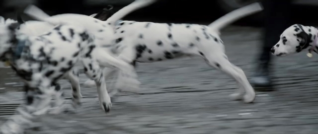 seria-169127.jpg