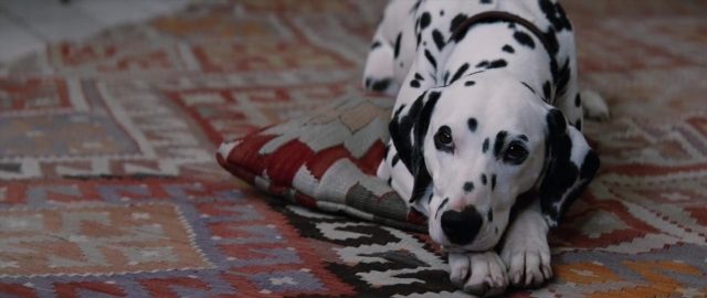 101 Dalmatians — film still