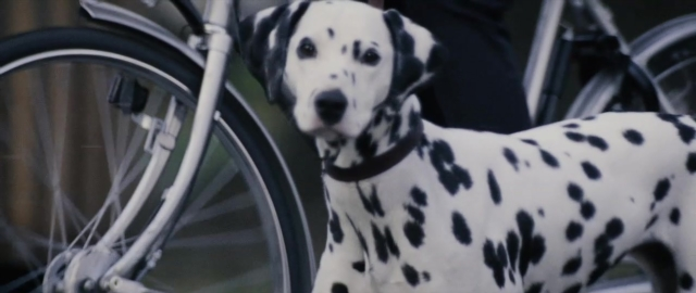 Medium shot frame from 101 Dalmatians — standing, dog, bicycle