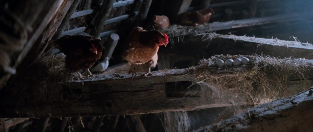 Wide shot frame from 101 Dalmatians — standing, chicken