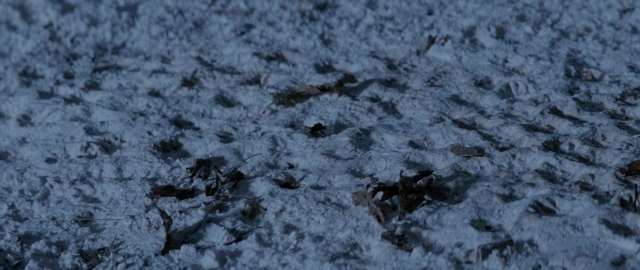Wide shot frame from 101 Dalmatians — snow, insect