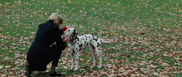 Frame from 101 Dalmatians — standing, dog, coat