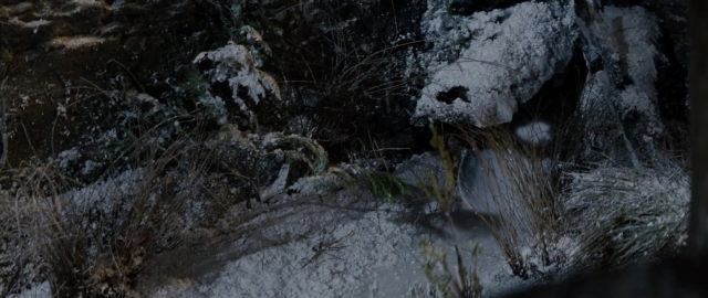 Wide shot frame from 101 Dalmatians — animal, water, snow