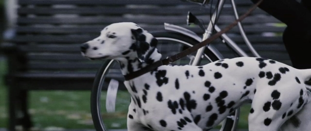 Wide shot frame from 101 Dalmatians — standing, dog, hand