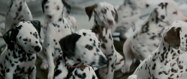 Frame from 101 Dalmatians — standing, dog