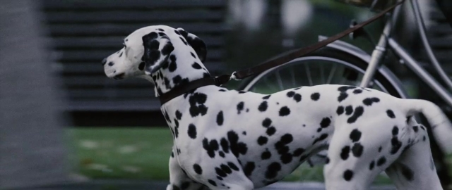 Wide shot frame from 101 Dalmatians — walking, street, dog