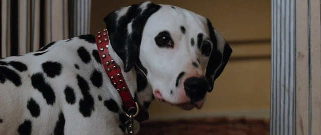 Close-up frame from 101 Dalmatians — standing, room, dog