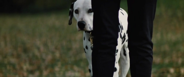 Wide shot frame from 101 Dalmatians — standing, dog, person